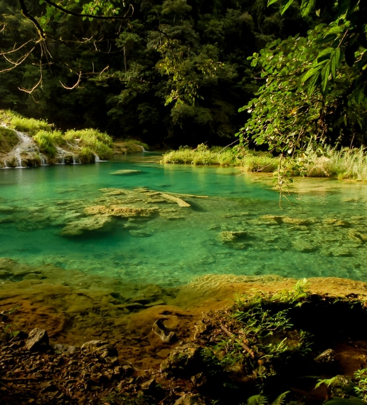 Tour Semuc Champey